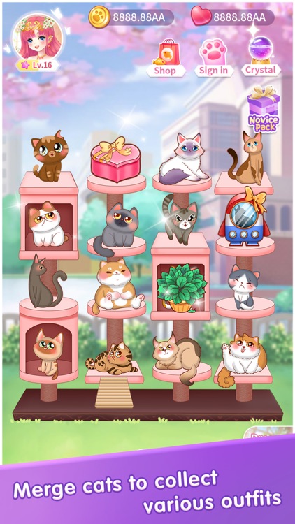 My Cat Diary