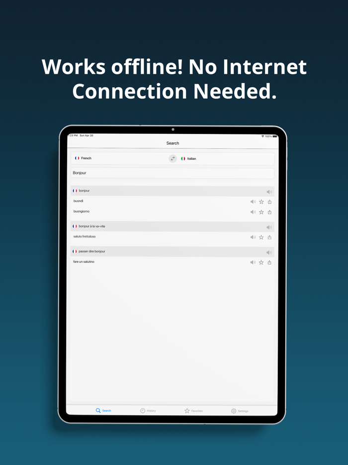 French Italian Dictionary 