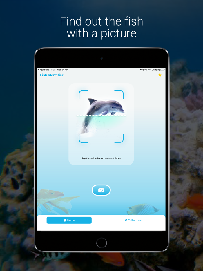 Fish Identifier - Fishing