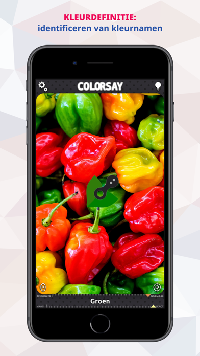 ColorSay • Kleurenscanner iPhone app afbeelding 8