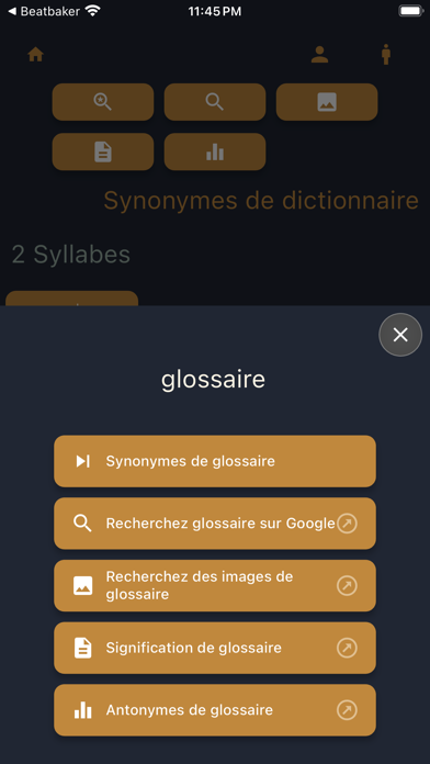Synonymes Français Screenshot