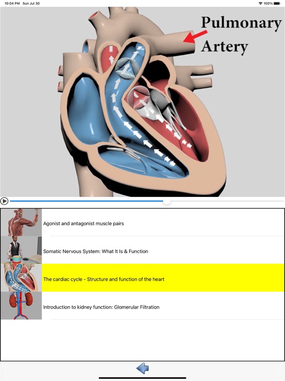 Screenshot #2 for Visual Anatomy