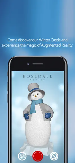 Game screenshot Rosedale Center Winter Castle mod apk