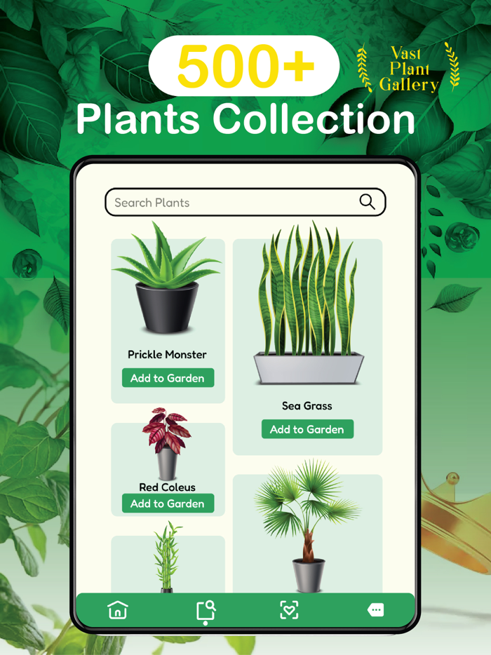 Plant Identifier Detect Leaf