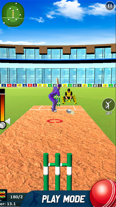 Play Live Cricket Game Screenshot