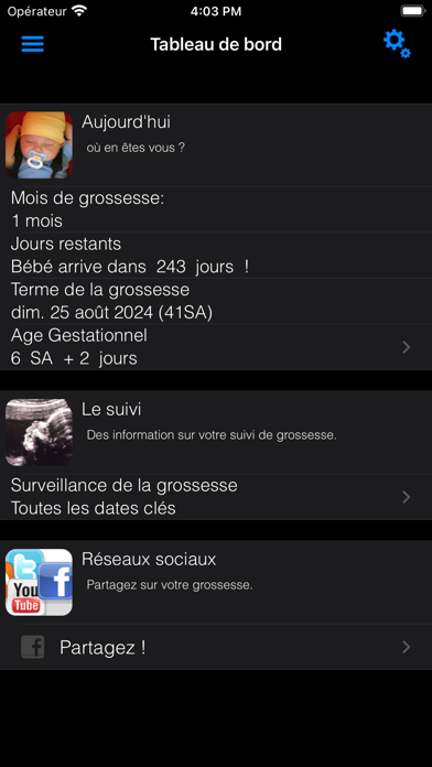 Screenshot #3 pour Age Gestationnel