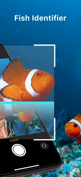 Game screenshot Fish Identifier - Fish ID apk