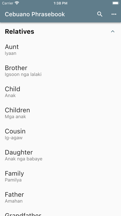 Cebuano Phrasebook Screenshot