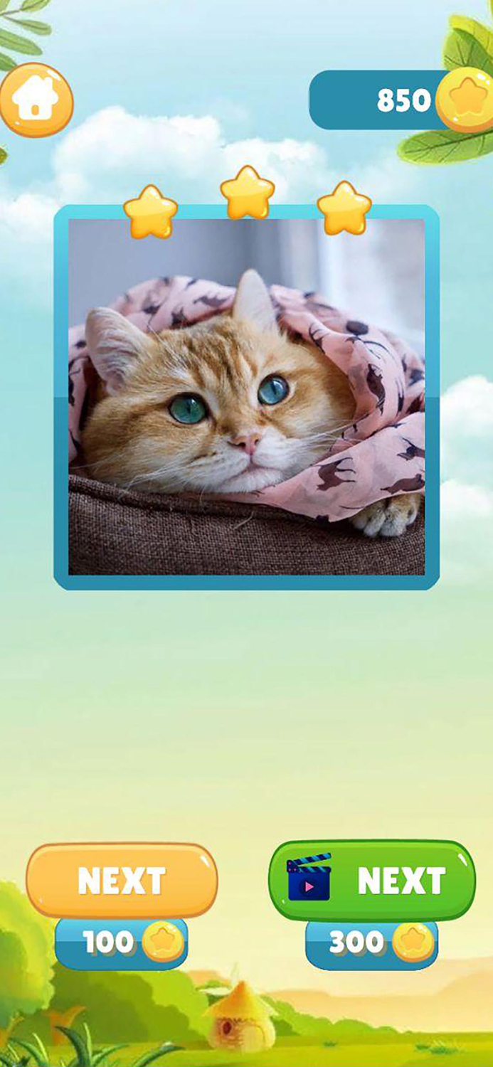 Pieces Picture - Jigsaw Puzzle