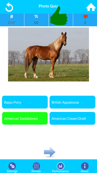 Screenshot #3 pour Learn Horse Knowledge