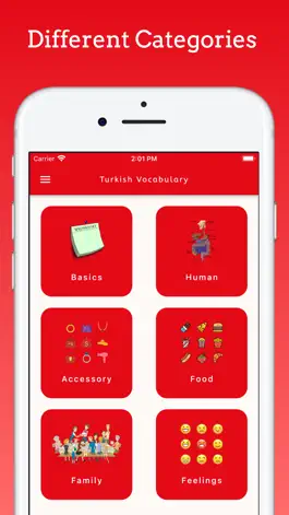 Game screenshot Learn Turkish Beginner! apk