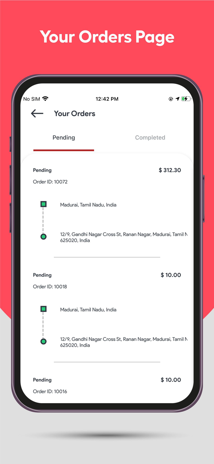 GoferDeliveryAll Driver