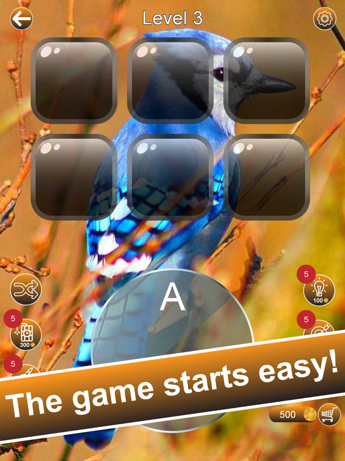 Word Soar - Fun Puzzle Game