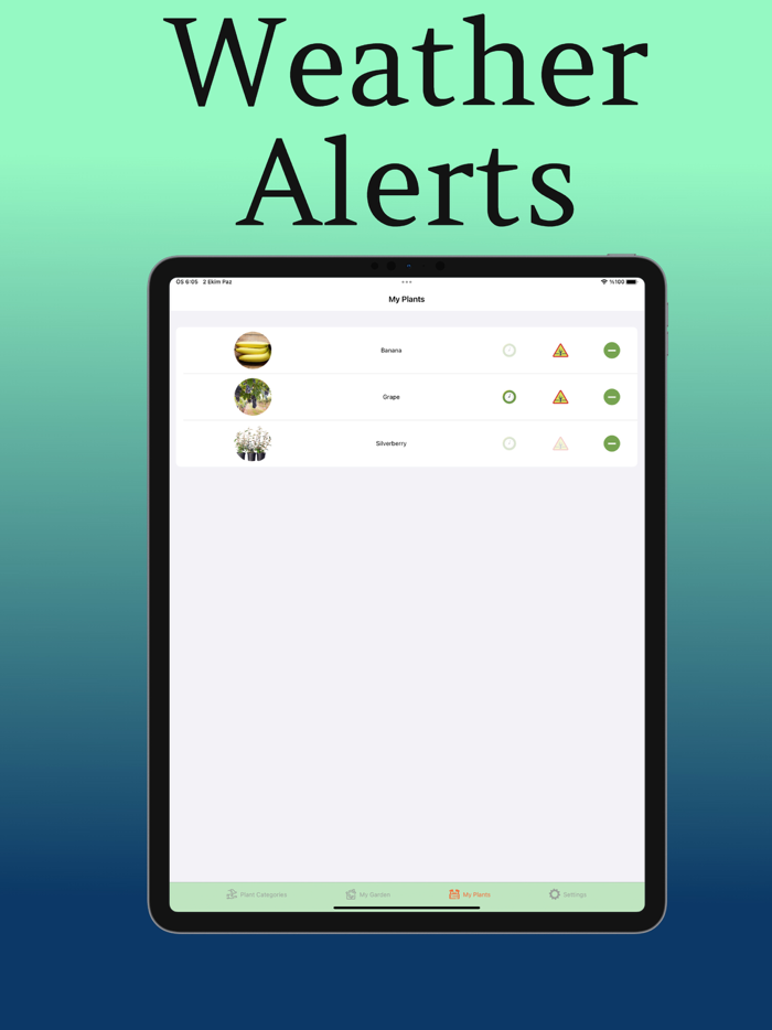 Plant Care Guide and Tips