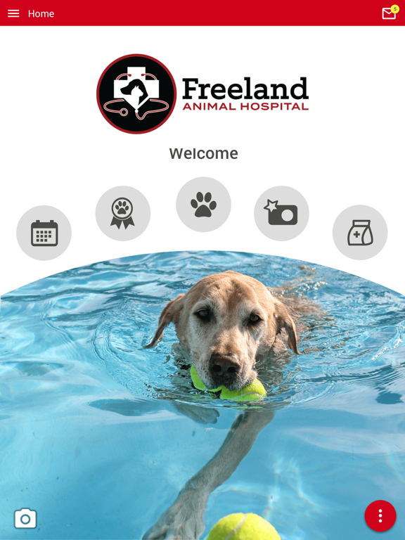 Screenshot #4 pour Freeland AH