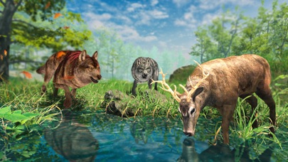 Wild Snow Wolf Simulator Screenshot