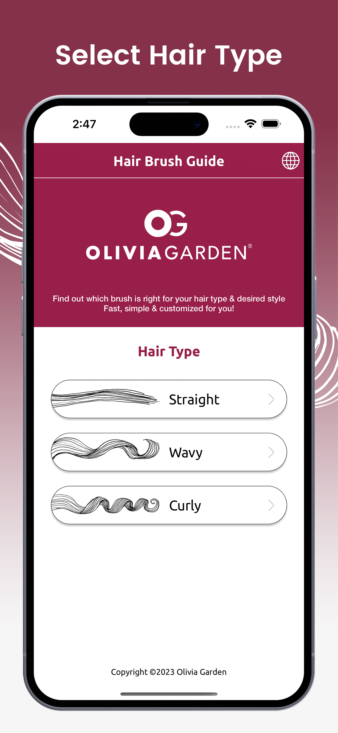 Hair Brush Guide