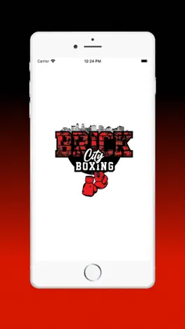 Game screenshot Brick City Boxing mod apk