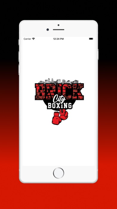 Brick City Boxing Screenshot