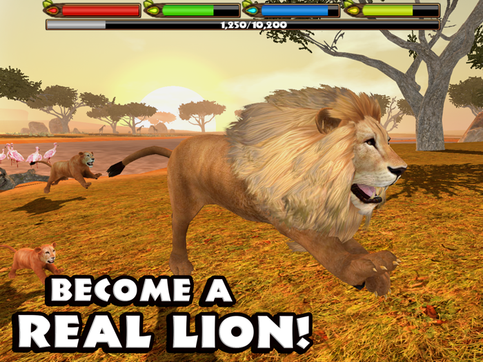 Ultimate Lion Simulator