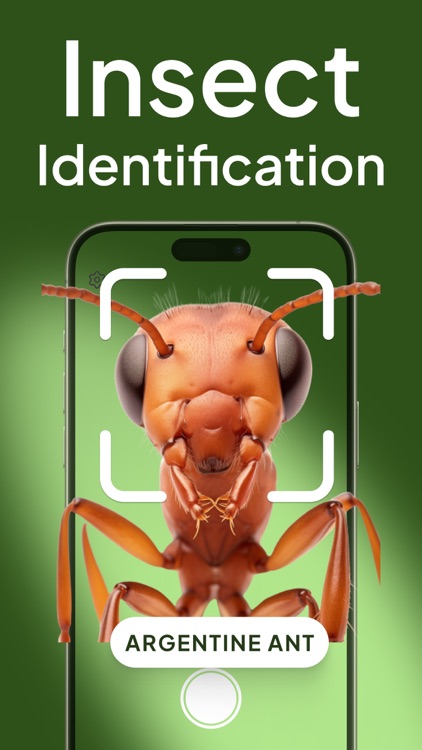 Bug Insect Identifier