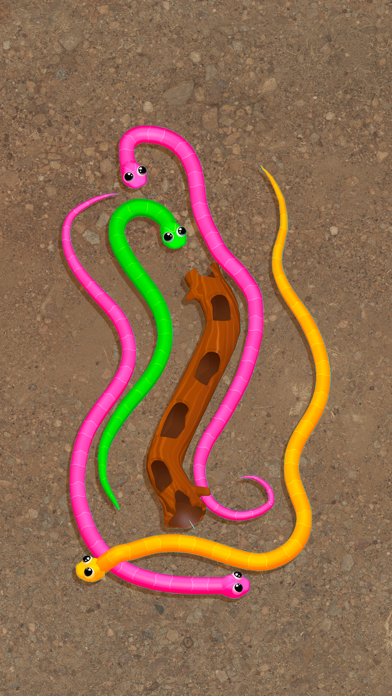 Snake Knot: Sort Puzzle Game screenshot 1
