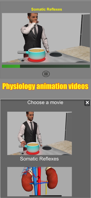 Captura de pantalla d'anatomia 3D