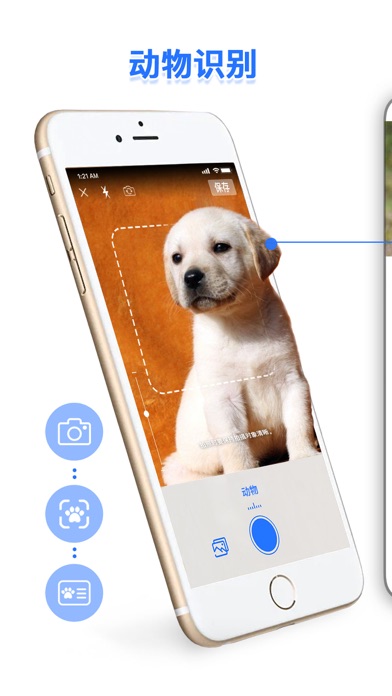 智能识别-拍照识花植物动物のおすすめ画像1