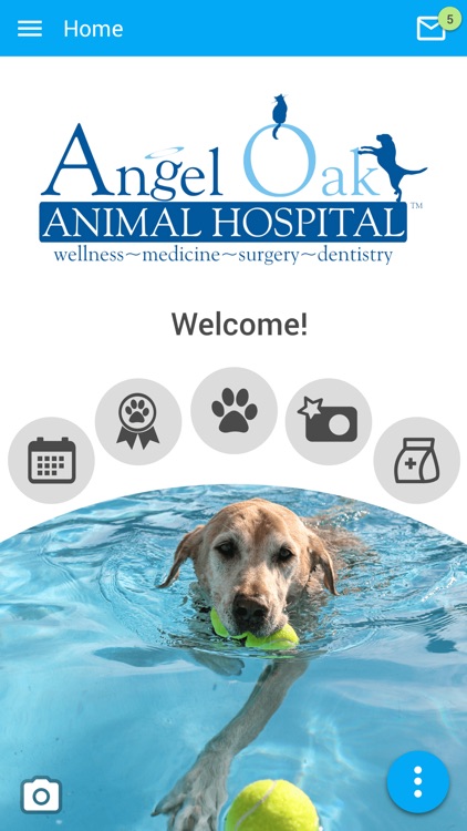 Angel Oak Animal Hospital