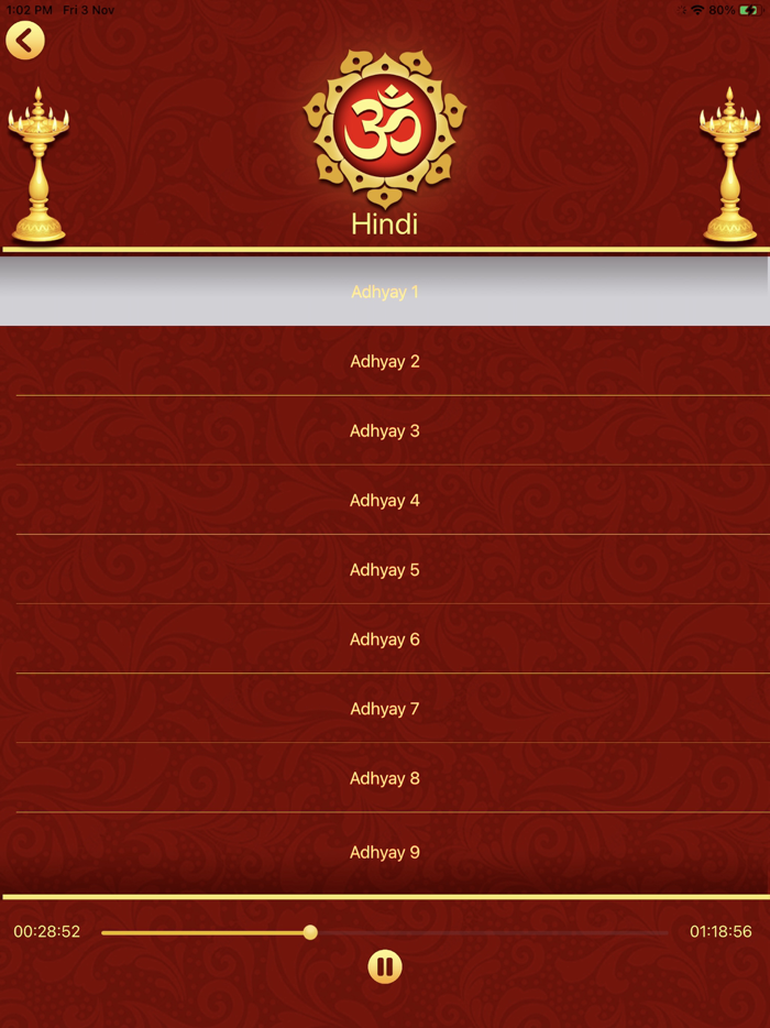 Bhagavad Gita in 11 Languages