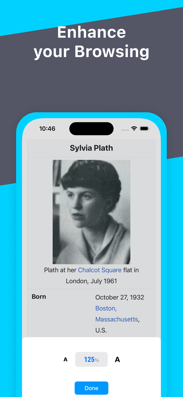 Cookie Web Browser Private