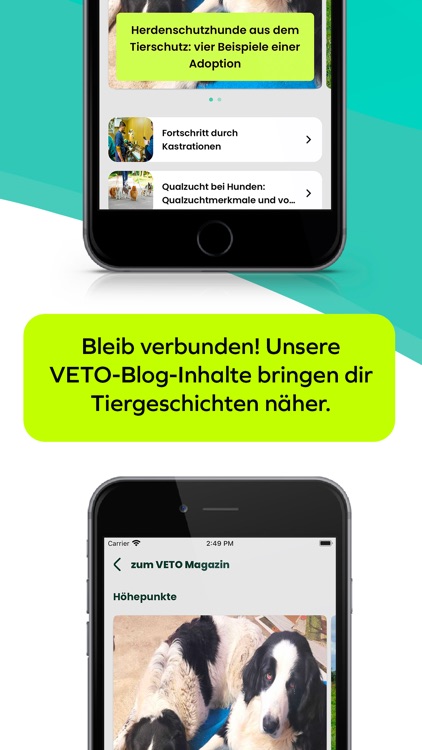 VETO Tierschutz screenshot-4