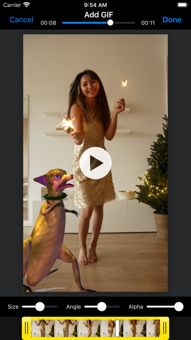 Add GIF to Video and Photo Screenshot