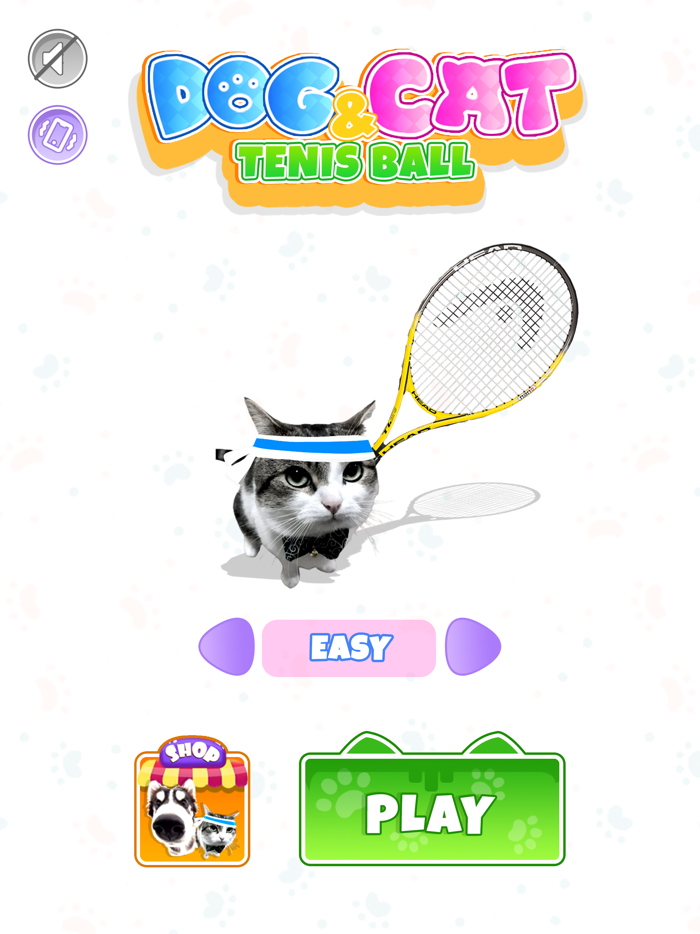 Dog and Cat Tennis