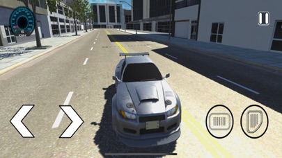 Driver Traffic Pro Screenshot