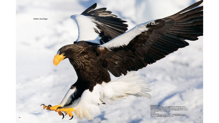 Ranger Rick Zoobooks