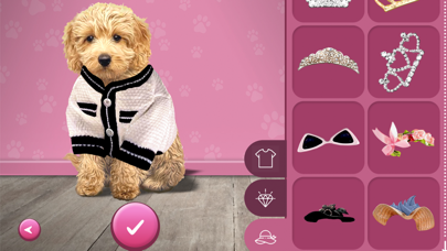 Screenshot #2 pour animaux s'habillent de manière