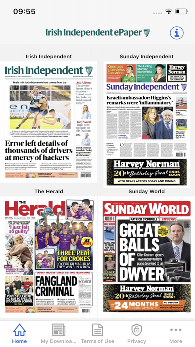 Irish Independent ePapers Screenshot