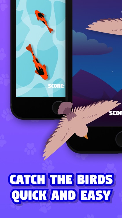 Games for Cats・Fishing & Mouse screenshot-3