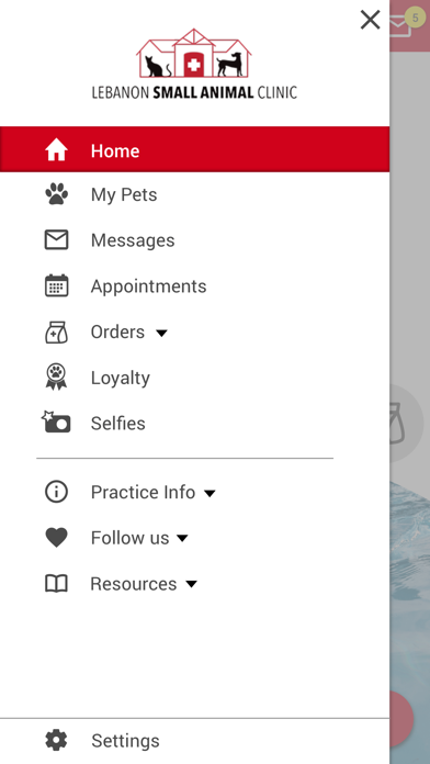 Lebanon Small Animal Clinic Screenshot