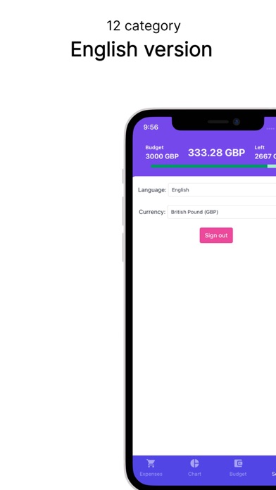 BudgetSense Ninja Screenshot