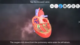 heart - an incredible pump problems & solutions and troubleshooting guide - 4