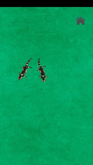 Game For Cats Vip Screenshot