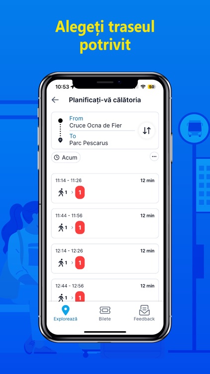 Bocsa Transport Public Local