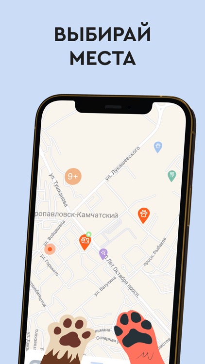Pawwink: Забота о питомцах