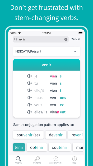 French Verbs 2020 Screenshot