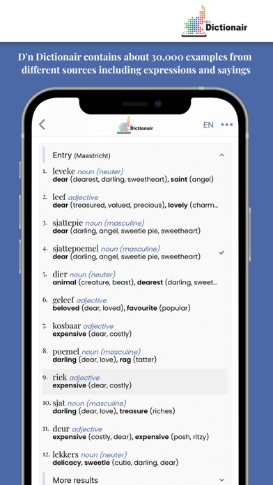 D'n Dictionair Screenshot
