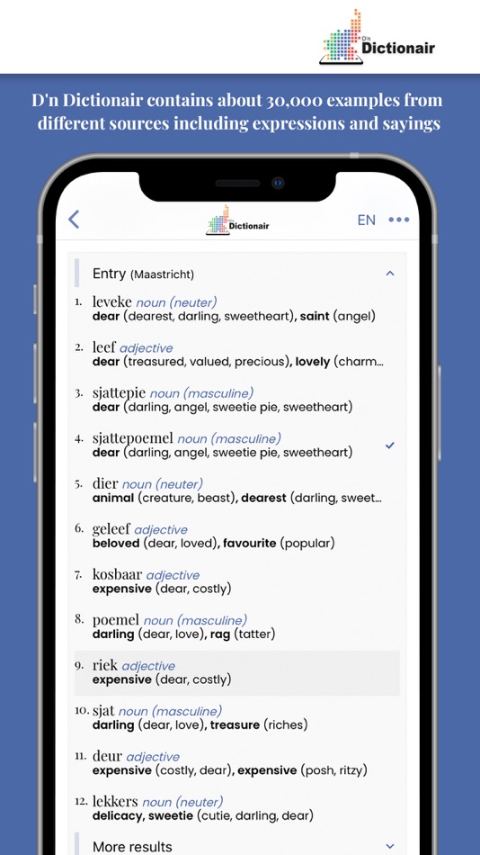 #4. D'n Dictionair (iOS) 由: Stichting Limborgse Academie