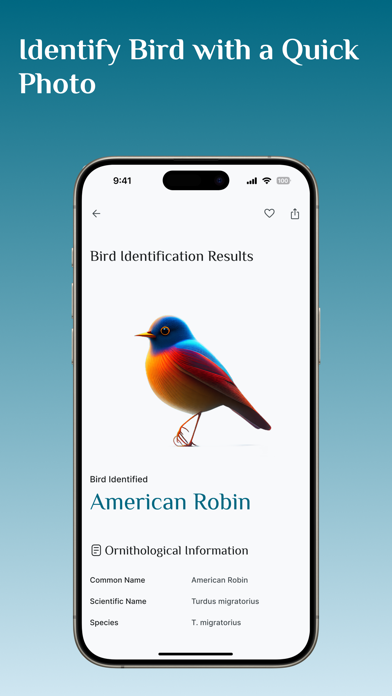Bird Identifier, Bird Id Screenshot
