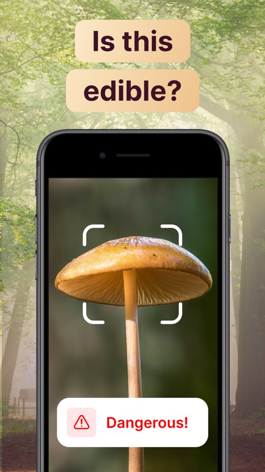 #3. AI Mushroom Identifier App (iOS) 由: DMYTRO CHERNOV